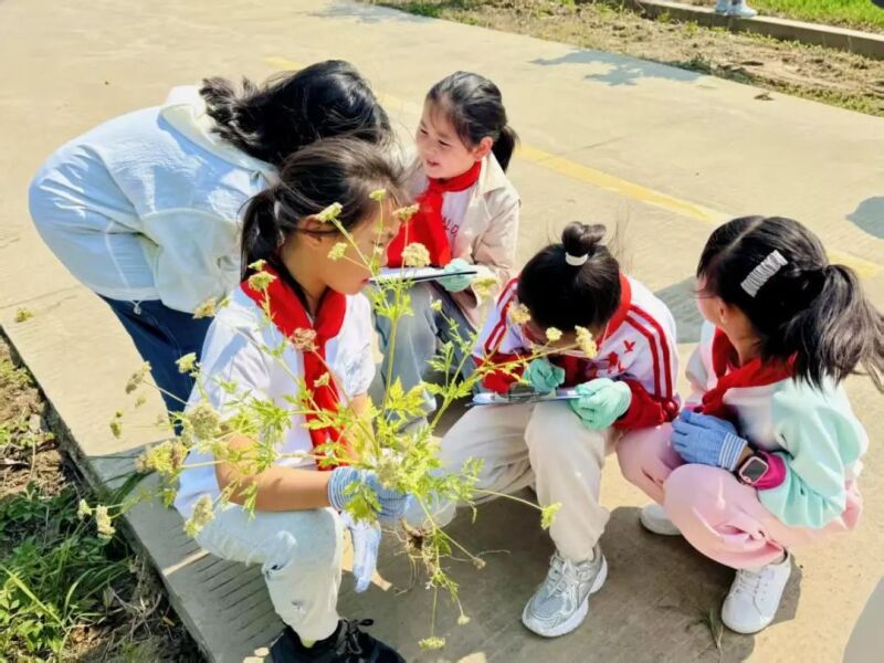 图片22.jpg